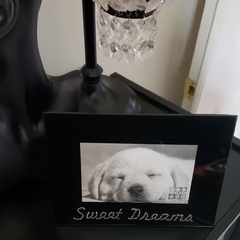 Sixtrees "Sweet Dreams" Glass Expressions Photo Frame - 4x6